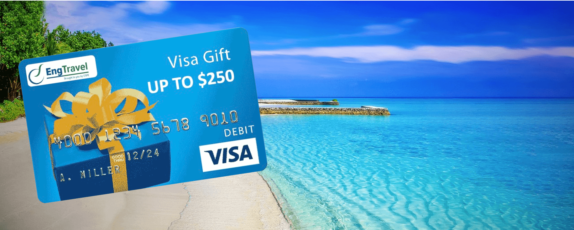 VISA INCENTIVE PROGRAM